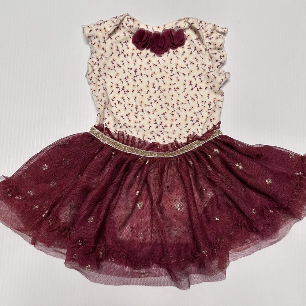Baby Starters girls 9 month outfit